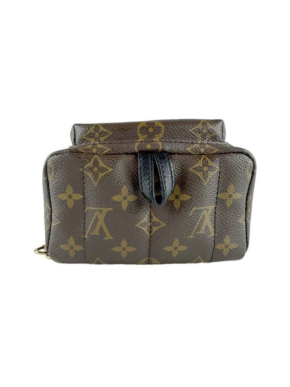 Louis Vuitton Backpack Palm Spring Mini - Picture 4 of 10